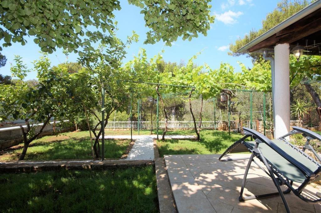 Apartment Deni